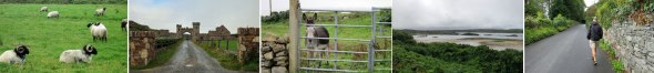Walking around Clifden (L to R): the sheep across the road; castle ruins; friendly neighbors; low tide in the bay; and 