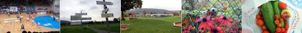 L to R: The TVG handball team; morning along the Main; garden scenes and fresh bounty.